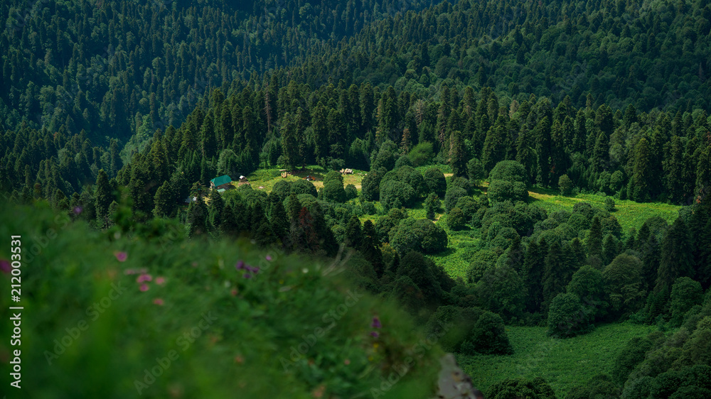 lonely house in the mountains for rest lonely house in the mountains for rest