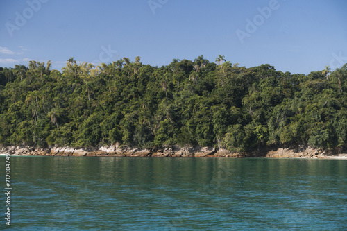 tropical sea forest under blue sky © Roberto