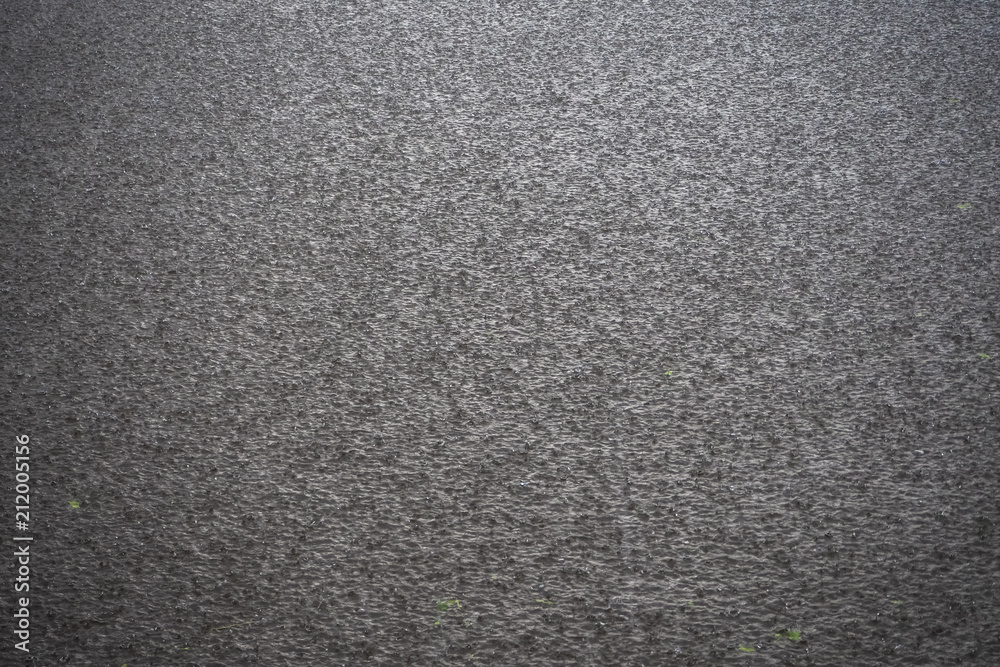 Fototapeta premium The surface of the water under the raindrops.