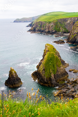 Spectacular view of the southern Irish coastline landscape in the Spring