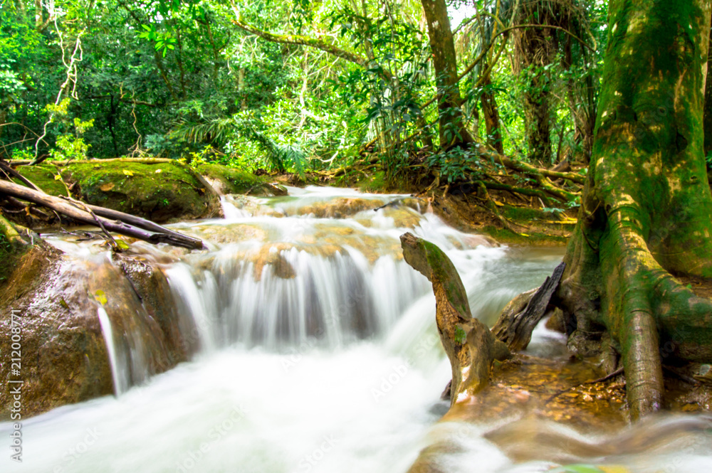Fototapeta premium Cachoeira em Bodoquena