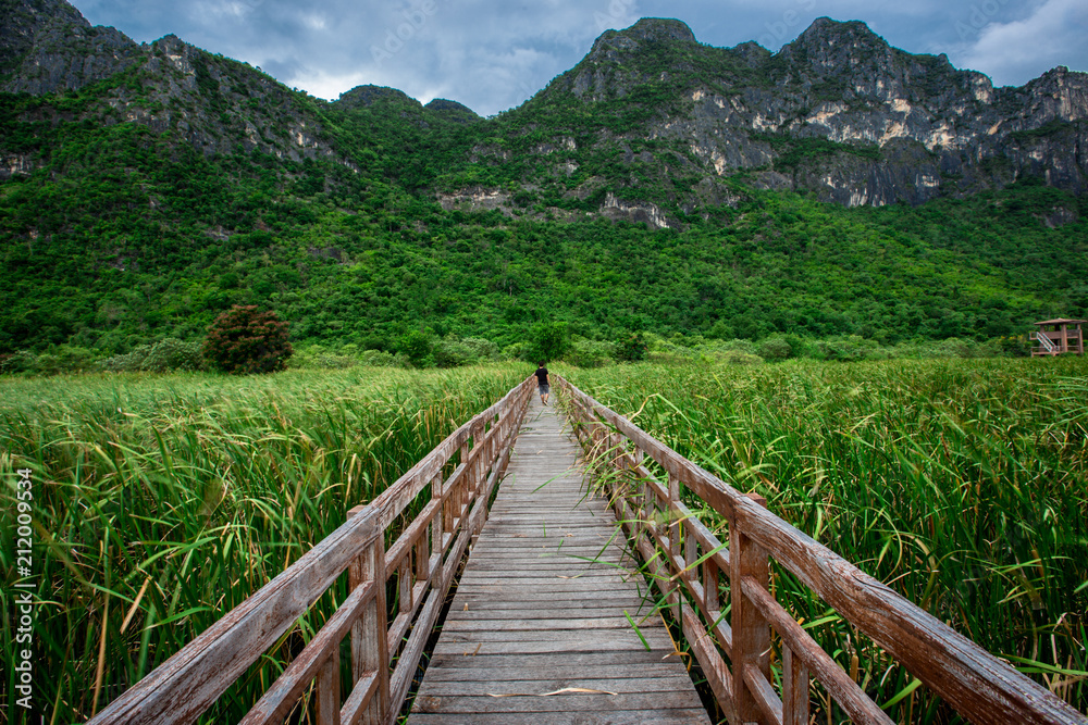 The wooden bridge overlooking the scenery at Sam Roi Yod National Park. It is beautiful and surrounded by nature in Prachuap Khiri Khan, Thailand.