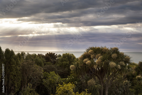 sunrays over the pacific ocean in new zealand © Patricia Thomas 