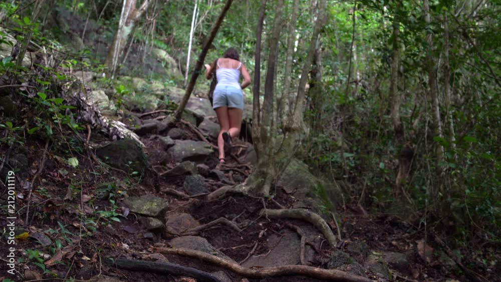 A woman climbs a mountain through the roots of a tree A woman climbs a mountain through the roots of a tree