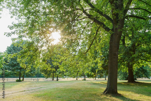 Fototapeta Naklejka Na Ścianę i Meble -  Afternoon view of a scene in the Hyde Park