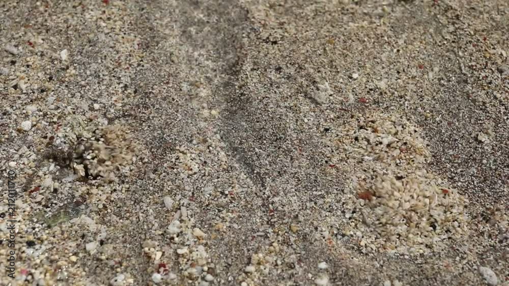 The movement of water from under the surface of sand on the shoreline - slow motion The movement of water from under the surface of sand on the shoreline - slow motion