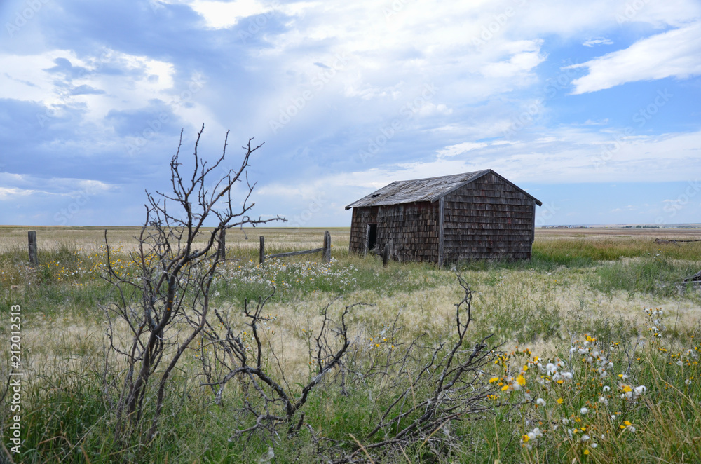 Fototapeta premium Alberta canada prairie abandoned homestead