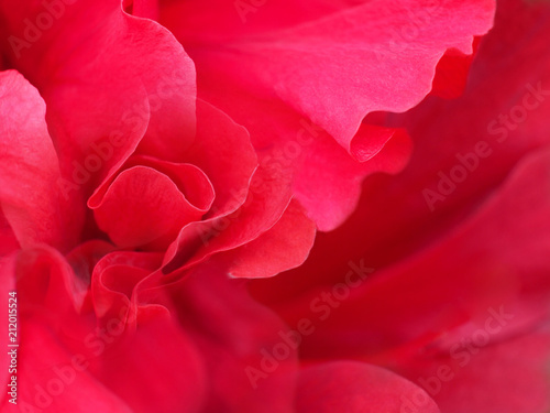 Fototapeta Naklejka Na Ścianę i Meble -  Abstract red background for valentine or wedding day.