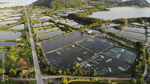 Aerial view of shrimp farm and air purifier in Thailand. Continuous growing aquaculture business is exported to the international market. photo