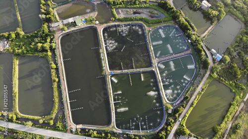 Aerial view of shrimp farm and air purifier in Thailand. Continuous growing aquaculture business is exported to the international market.