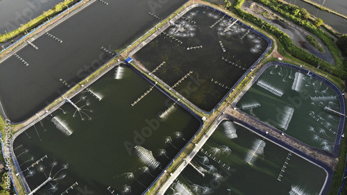 Aerial view of shrimp farm and air purifier in Thailand. Continuous growing aquaculture business is exported to the international market. photo