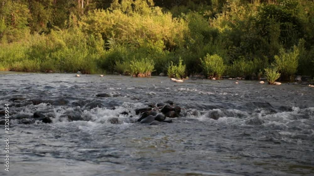 mollalla river rocks flowing water wide shot mollalla river rocks flowing water wide shot