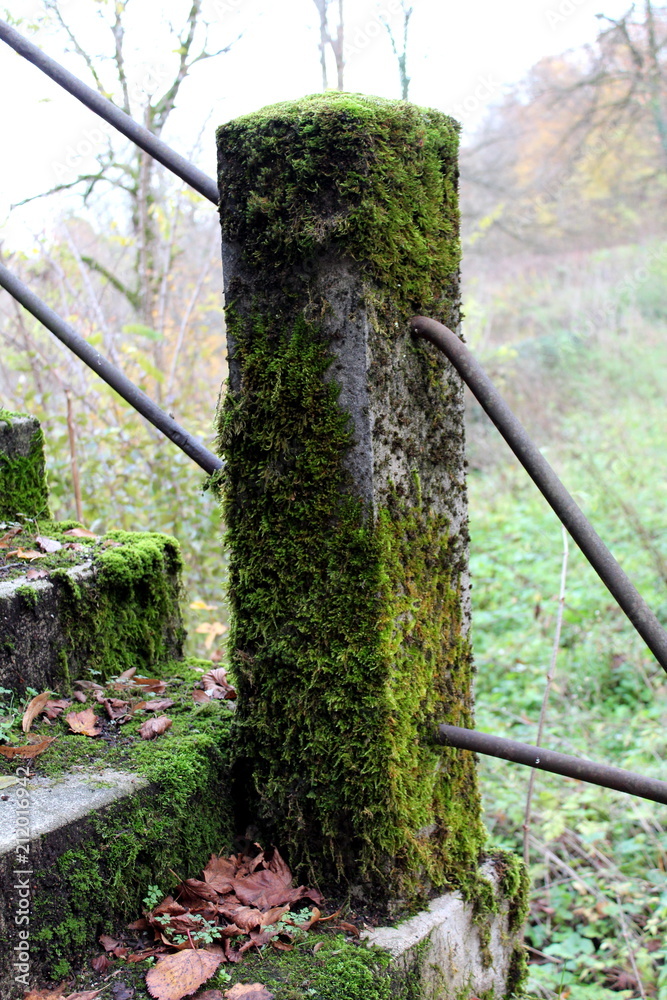 Overgrown Stone Fence Pole Covered Almost Completely With Moss With Two Thick Metal Pipes Connecting It To Other Poles And Overgrown Stone Steps On Cold Foggy Autumn Day Stock Photo Adobe