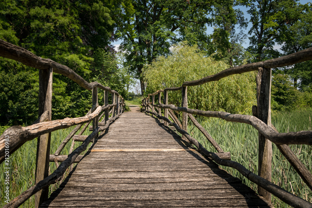 A narrow bridge made of wood leading over a wetland full of reed A narrow bridge made of wood leading over a wetland full of reed