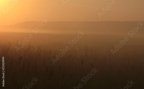 misty dawn in the field © albert