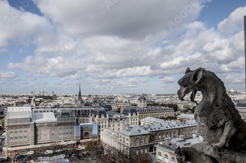 Gargoyle with city Paris
