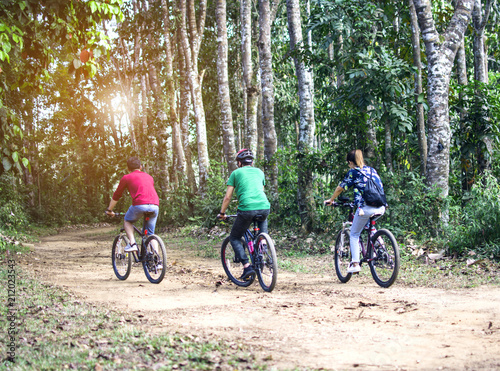 Young hipster tourist riding bicycles in the forest back to camera, Thailand