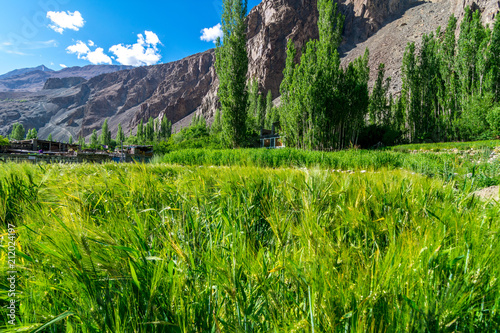 Turtuk Village in Nubra Valley, Ladakh photo