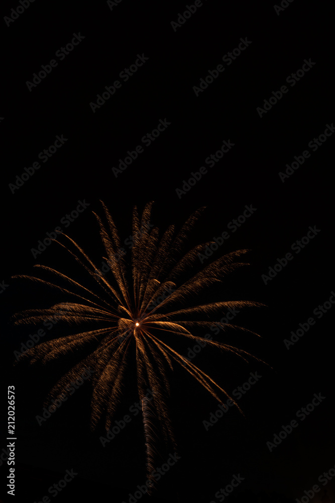 Independence Day Fireworks Firing in Black Night Sky