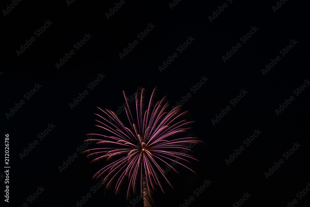Independence Day Fireworks Firing in Black Night Sky Independence Day Fireworks Firing in Black Night Sky