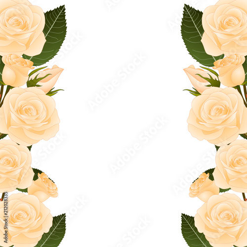 Orange Rose Border