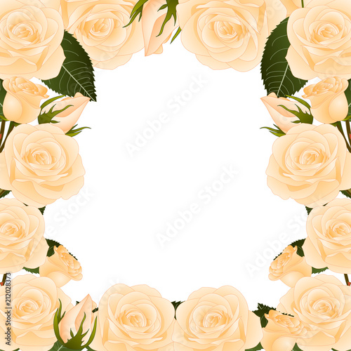 Orange Rose Border