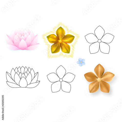 Pink lotus, forget-me-not pattern flower set