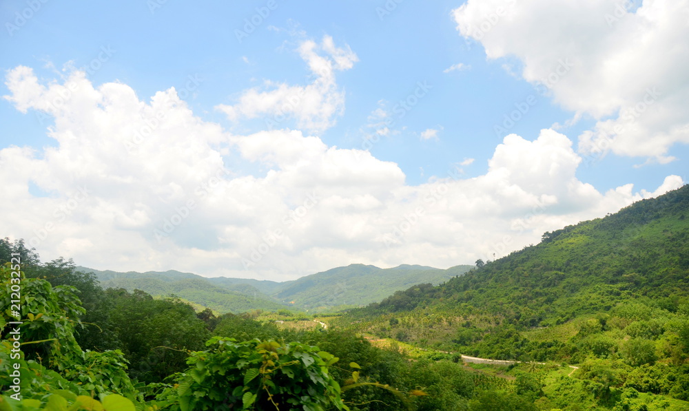 Chinese jungle, island of Hainan, May 2011