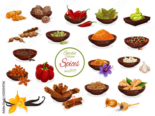 Spice poster with set of condiment and seasoning