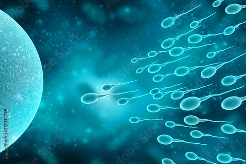 3d illustration showing sperms and egg
