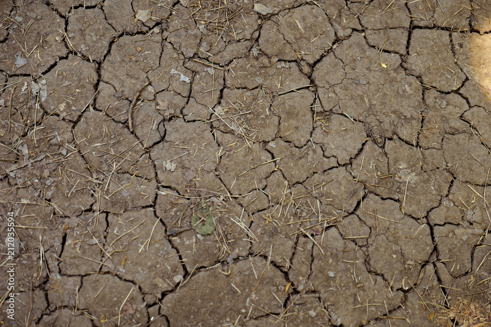 Drought Drought