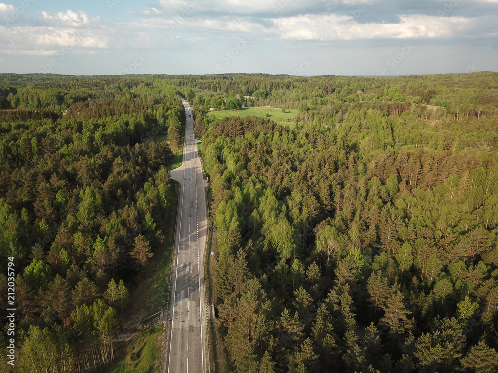 Highway through forest
