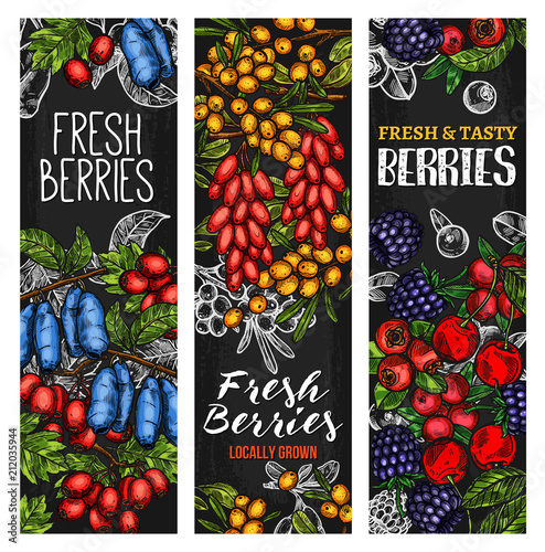 Wild berry or fresh fruit blackboard banner design