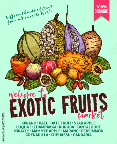 Exotic fruits sketch vector poster for farm market