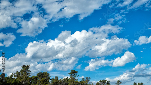 Fluffy white clouds and vibrant blue sky