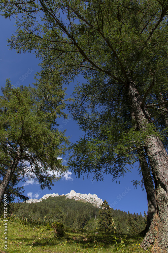 Fototapeta premium mountain leobner mauer on hochschwab, styria,austria