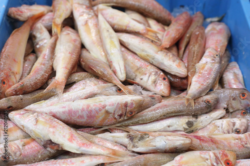 Mullet in the market