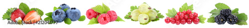 Sammlung Beeren Erdbeeren Blaubeeren Himbeeren rote Johannisbeeren Früchte in einer Reihe isoliert Freisteller freigestellt