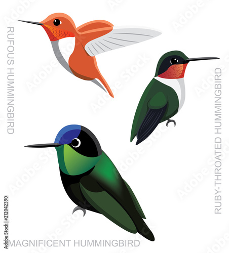 Bird Hummingbird Set Cartoon Vector Illustration