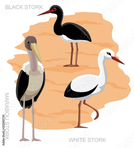 Bird Stork Set Cartoon Vector Illustration