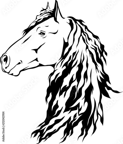 Friese - Pferd