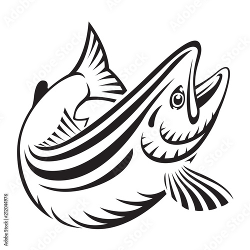 graphic salmon fish , vector