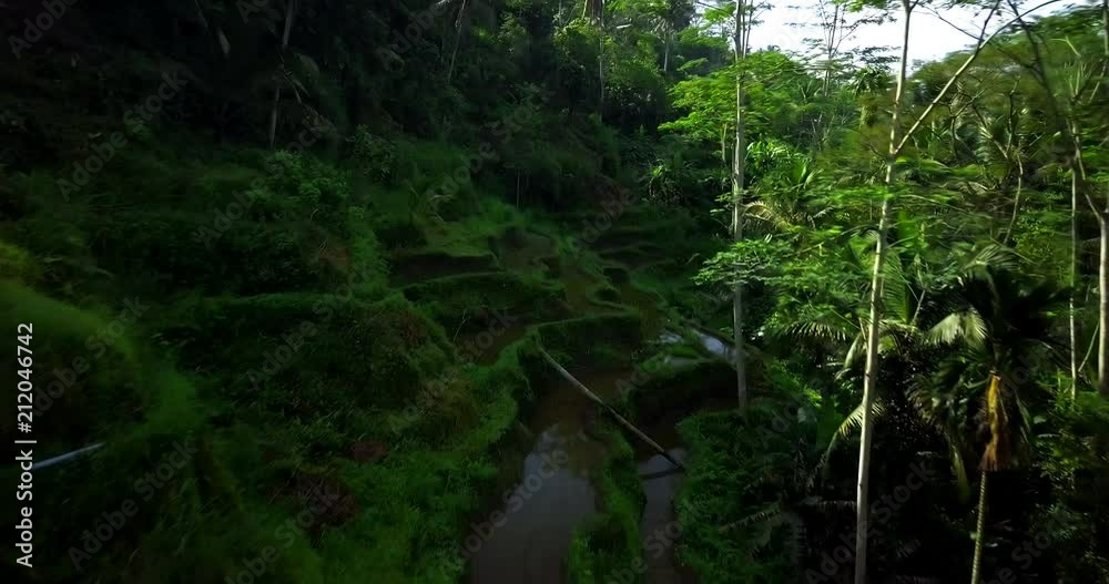 Hillside with rice farming. World's most beautiful landscapes in nature. Typical Asian green cascade rice field terraces paddies. Ubud. Bali. Indonesia. Same as Guillin. China. Drone aerial view. Hillside with rice farming. World's most beautiful landscapes in nature. Typical Asian green cascade rice field terraces paddies. Ubud. Bali. Indonesia. Same as Guillin. China. Drone aerial view.