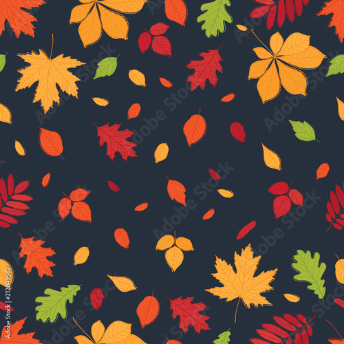 Seamless pattern. Fall of the leaves. Hand drawn autumn leaves on black chalkboard. Wrapping paper, cloth. Vector illustration.