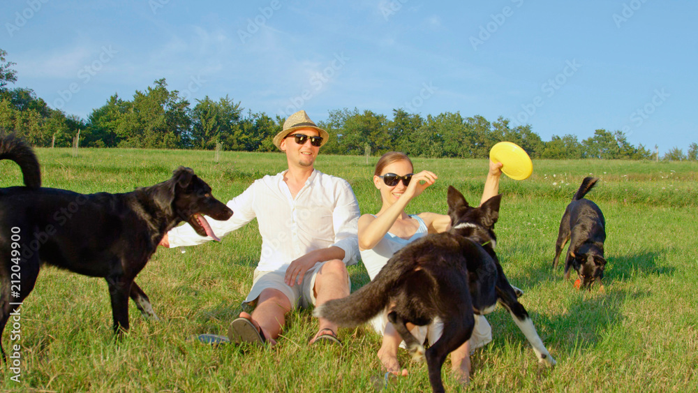 Young Caucasian couple plays with their three border collies in sunny nature.