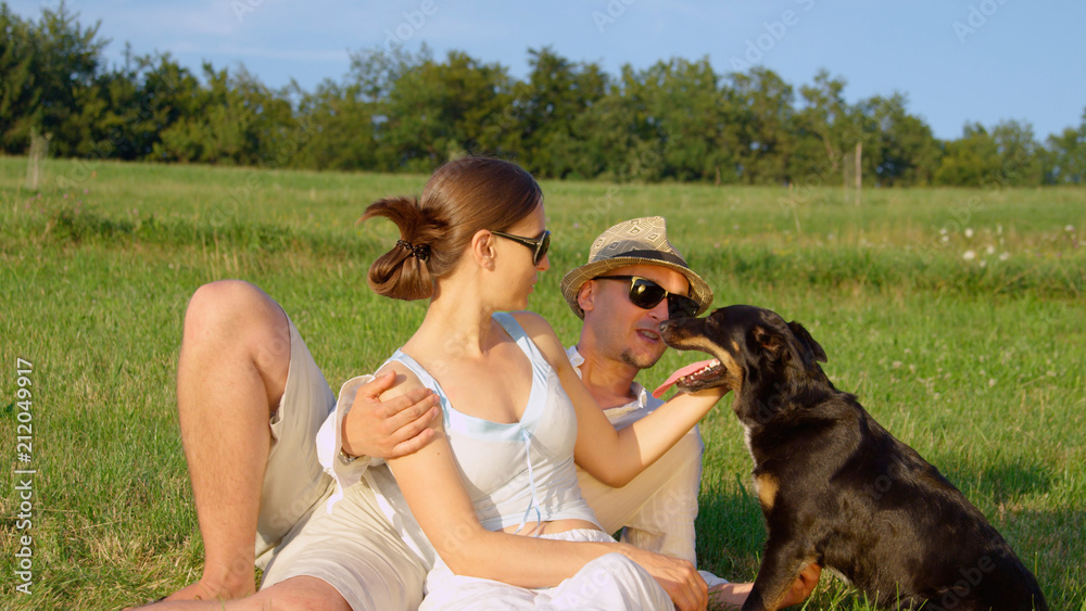 CLOSE UP: Young couple pets their lovely border collie puppy in sunny meadow.