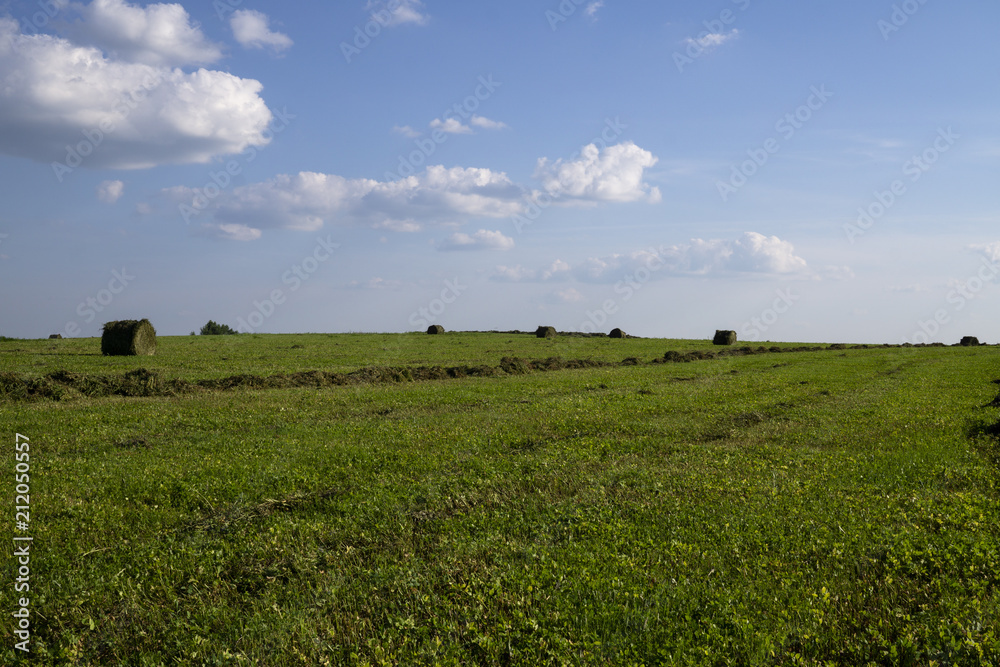 Straw bales on a field in the foreground. Harvest of hay. Clouds in the sky. Agricultural farm. Hills with cultivated fields and hay bales Straw bales on a field in the foreground. Harvest of hay. Clouds in the sky. Agricultural farm. Hills with cultivated fields and hay bales