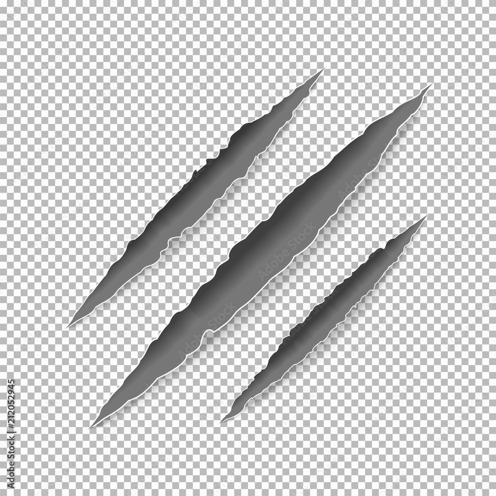Claws scratches on paper with ripped edges with shadow on transparent ...