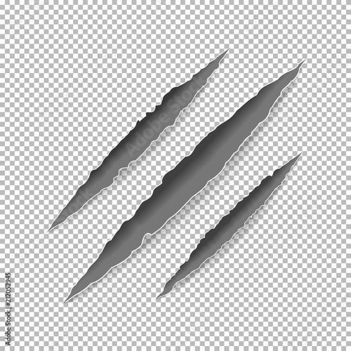 Claws scratches on paper with ripped edges with shadow on transparent background. Graphic concept for your design