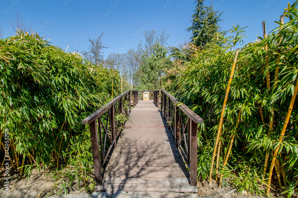 Fototapeta premium Die berühmten Blumengärten Hirschstetten in Wien, Österreich